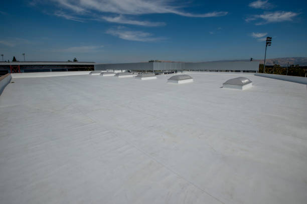 Best Roof Coating and Sealing  in Montgomery, OH